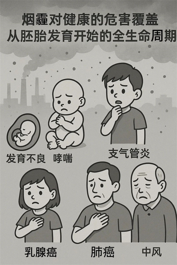 微信圖片_20250527092011.jpg